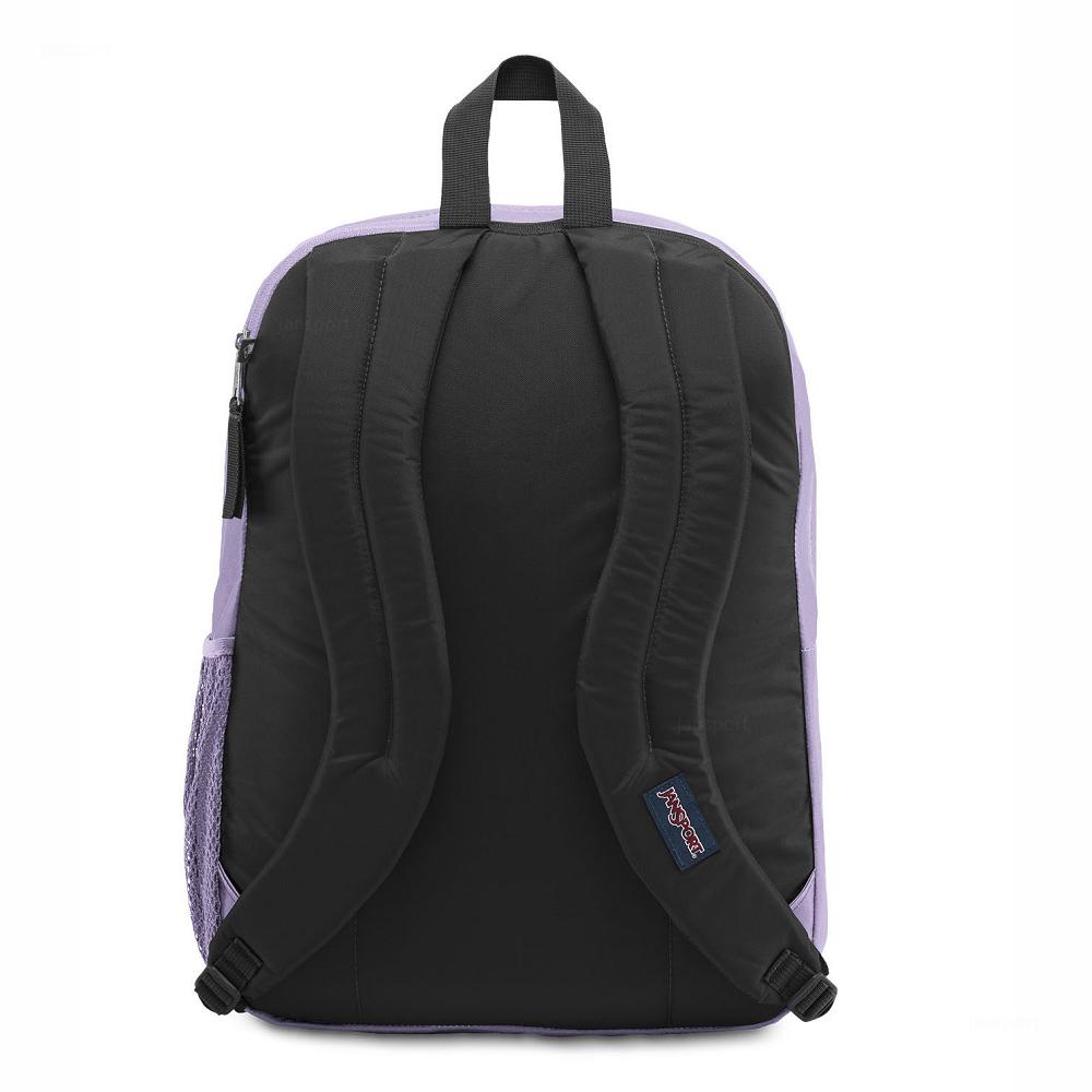 Sac à Dos Ordinateur JanSport BIG STUDENT Violette | NNC-70554569